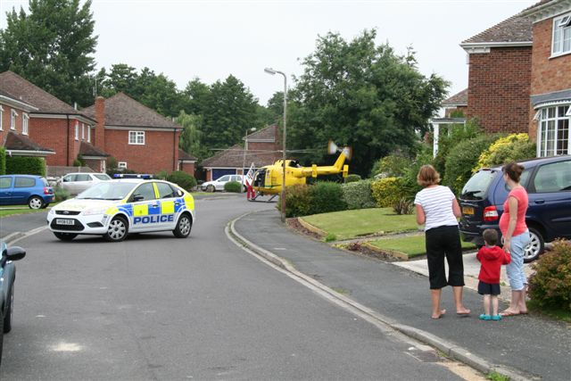 Incident in Priory Gardens Old Basing. Description.