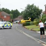 Incident in Priory Gardens Old Basing. Description.