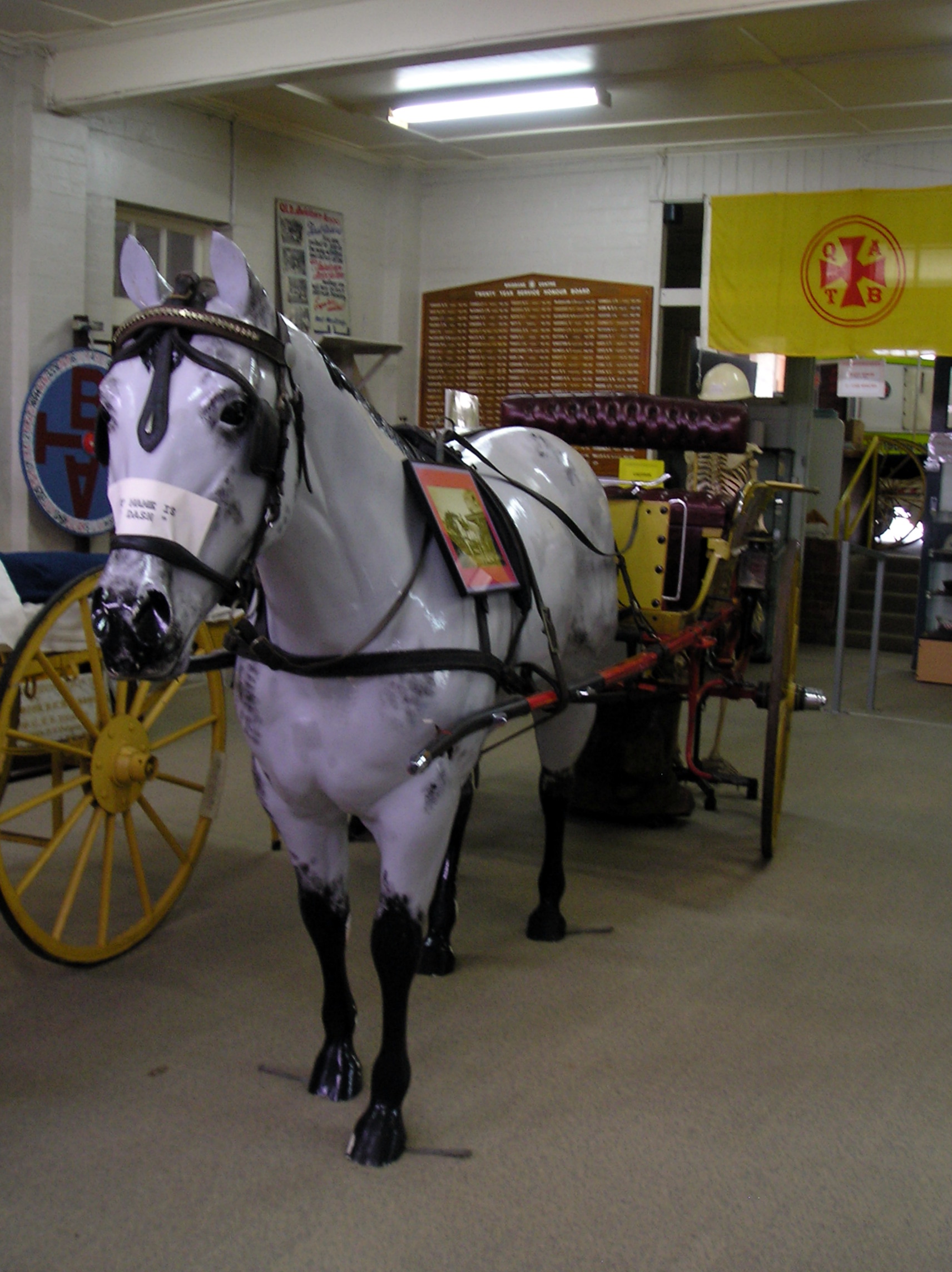 Horse-Drawn Ambulance.