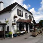 The Half Moon at Sheet nr. Petersfield.